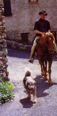 A cheval dans le village de haute montagne Mantet